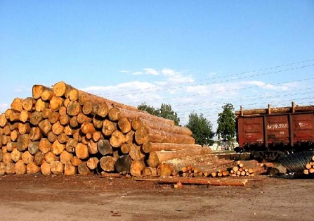 В Хакасии продолжается регистрация пунктов приема и отгрузки древесины