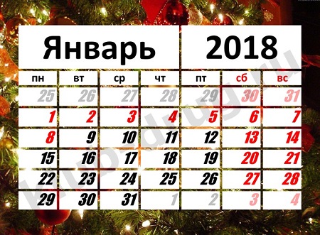 Госдума отказались отменить новогодние каникулы