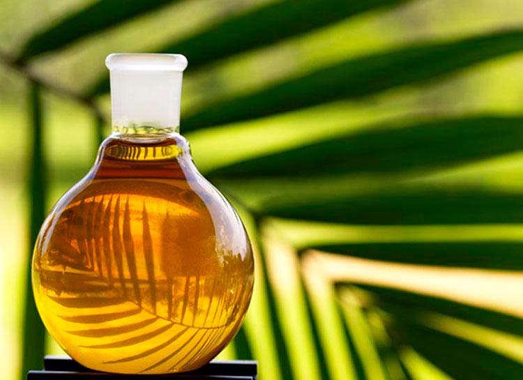 Кому выгодно: Минсельхоз не хочет запрещать пальмовое масло