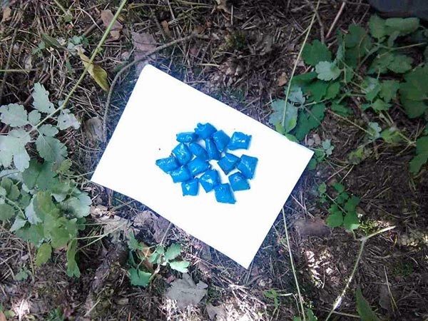 Крупная партия наркотиков изъята в Абакане