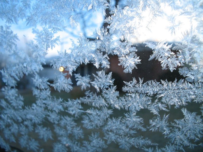 Погода в Хакасии 26 ноября: зима уже началась