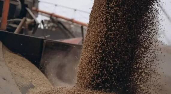 МИД РФ: Россия согласна продлить «зерновую сделку» при условии равноправного исполнения соглашения
