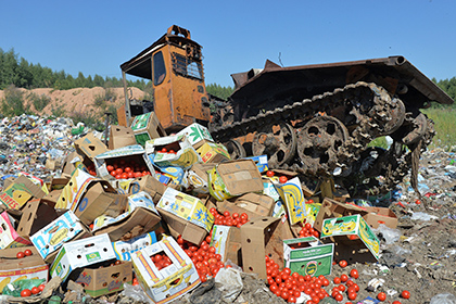 Давить еду: в Смоленской области уничтожено три тонны говядины