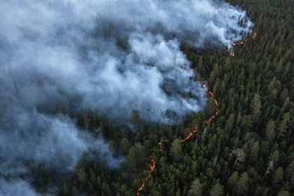 В Забайкалье степными пожарами уничтожено более 150 строений