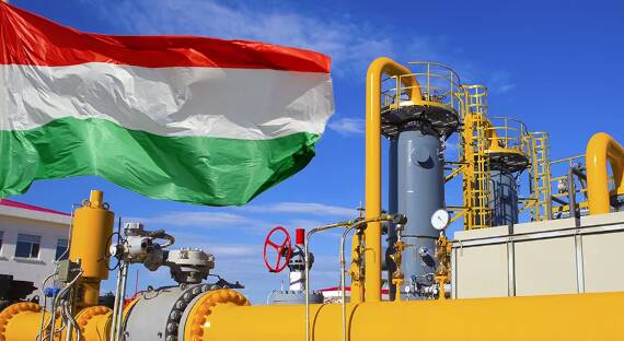 Венгрию призвали отказаться от российского топлива