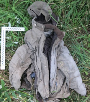 На берегу реки в Хакасии нашли человеческие кости