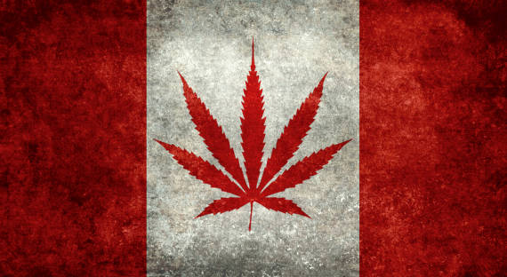 В Канаде вспыхнул бешеный спрос на марихуану