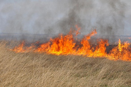 МЧС Хакасии не исключает возникновения новых пожаров