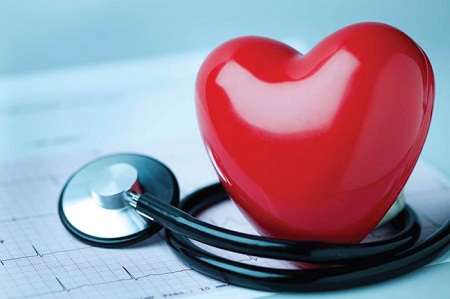 Российские ученые приступают к созданию искусственного сердца