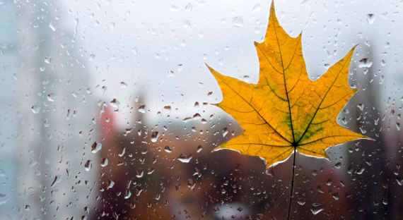 Погода в Хакасии 21 сентября: Осень наносит ответный удар
