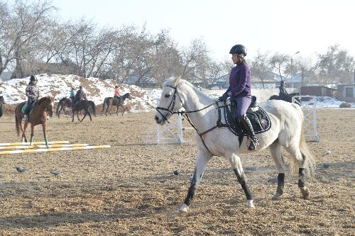 В июле в Хакасии пройдет республиканский турнир по конному спорту