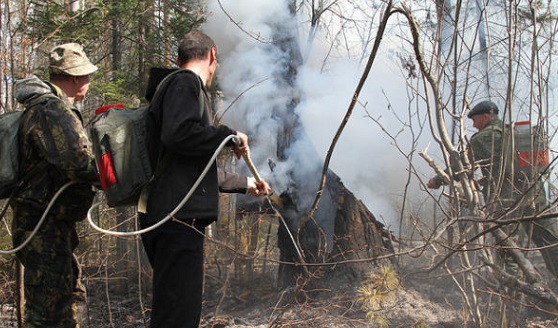 Особый противопожарный режим в Хакасии продлен до конца весны