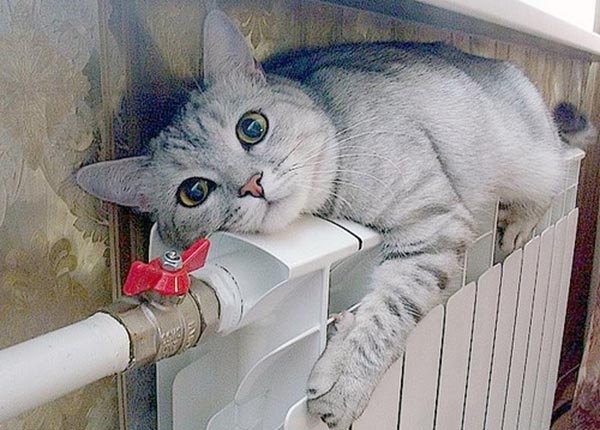 Отопление в Абакане отключат 1 мая