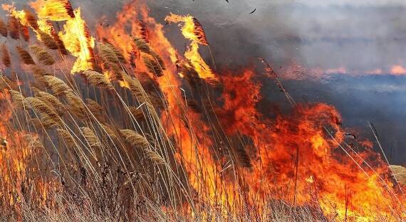 За выходные в Хакасии отмечено 16 степных пожаров