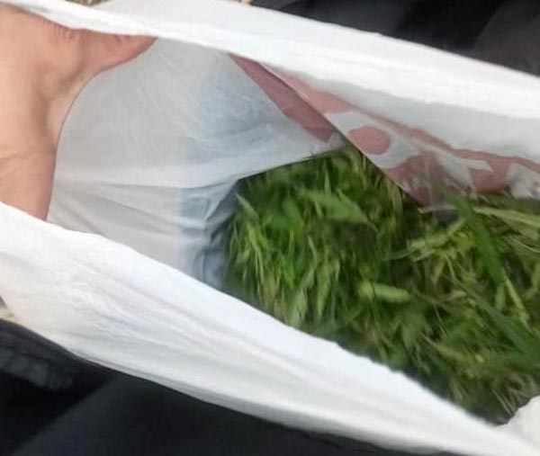 В Черногорске местный житель попался с марихуаной