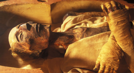 В Ростовской области нашли мумию в морге