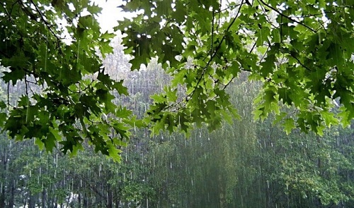 Погода в Хакасии 19-21 мая: дожди идут, смывая весну прохладой