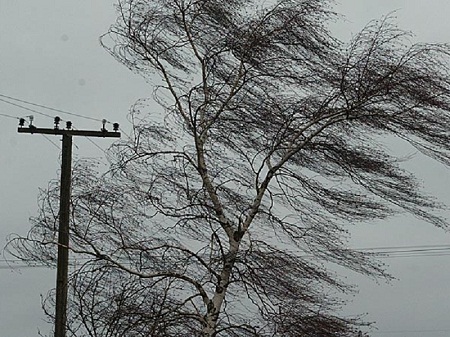 В Хакасии синоптики прогнозируют сильный ветер