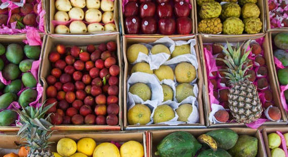 Россия разрешила Египту возобновить поставки фруктов и овощей, но не картофеля