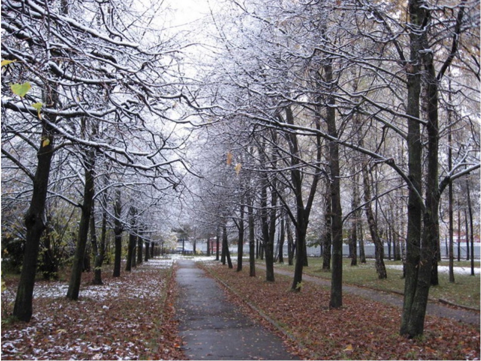 Погода в Хакасии 2 ноября: будет холодно и грустно