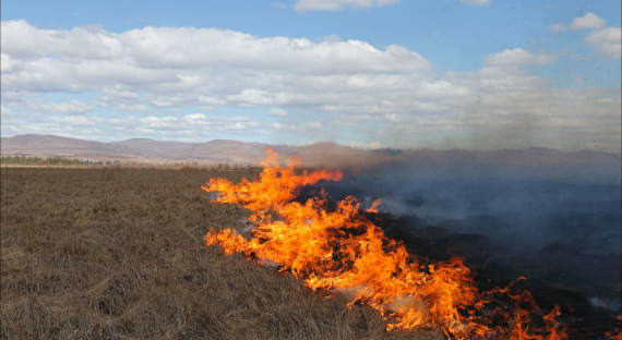 Минэнерго РФ: Повреждения ЛЭП — не основная причина пожаров