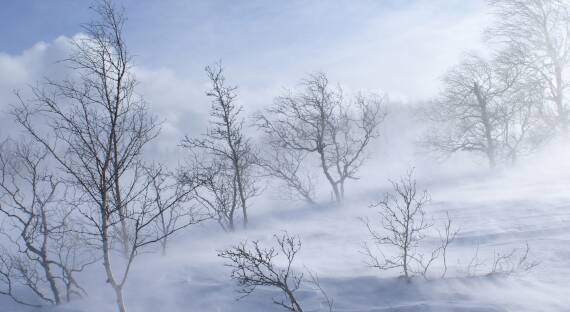 Погода в Хакасии 26 января: Ветер продолжает бушевать