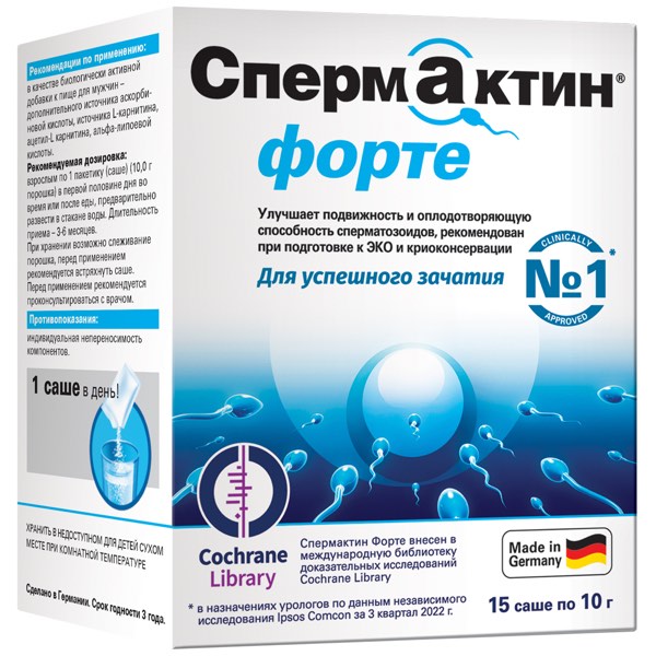 Спермактин: когда уместен, как работает и чего ждать от курса