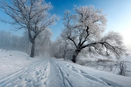 Погода в Хакасии 12 февраля: морозы возвращаются в республику?