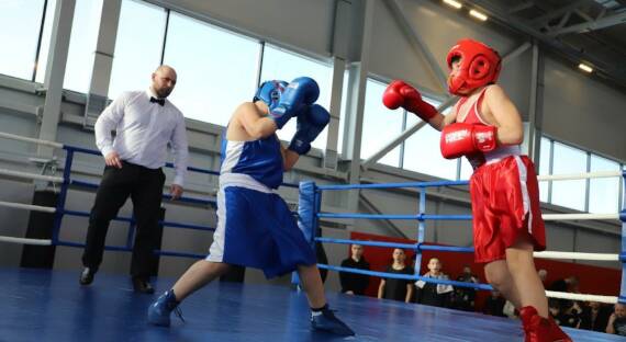 Юные боксеры сошлись на ринге в Центре спортивных единоборств
