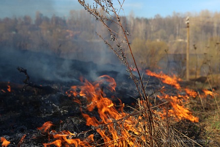Чаще всего в степных и лесных пожарах Хакасии виноват человек