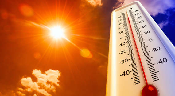 Синоптики предрекли аномальную жару и засуху в России