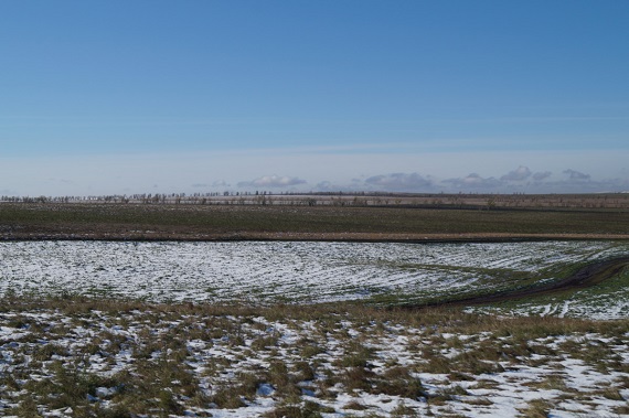Из-за внезапно выпавшего снега аграрии Хакасии потеряли почти 346 млн рублей