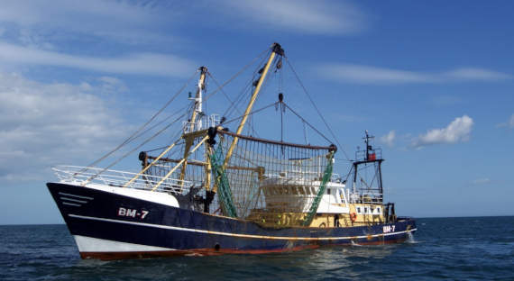 Рыбаки предупредили о сбоях в поставках иваси