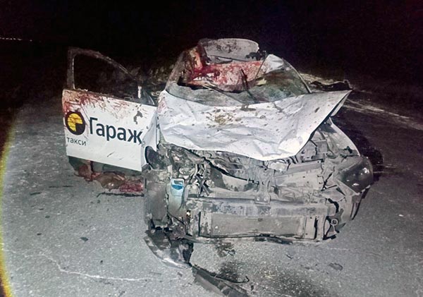 В Аскизском районе иномарка сбила лошадь