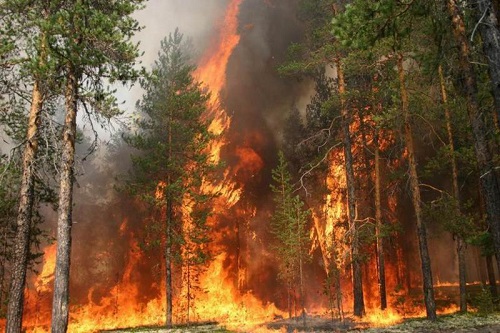 Хакасию предупредили об особой пожарной опасности в выходные дни