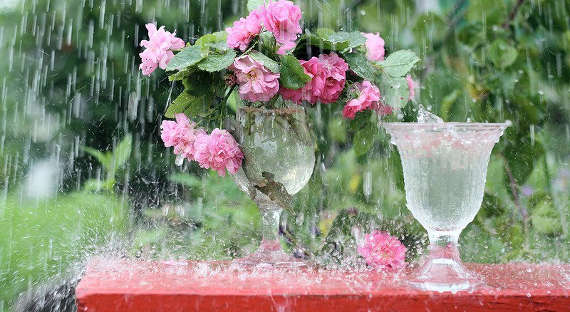 Погода в Хакасии 24 мая: Дожди всё-таки будут?