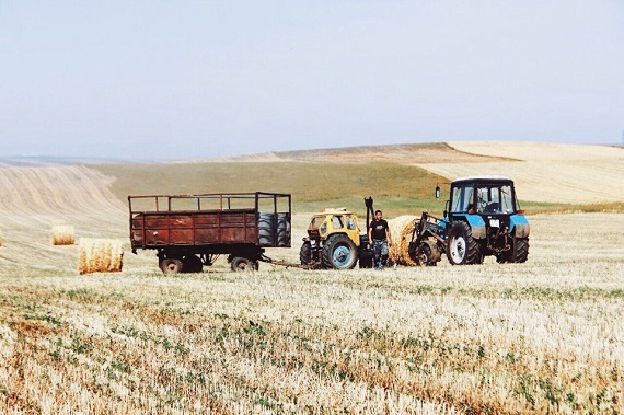 В Хакасии сельчане ударными темпами заготавливают сено
