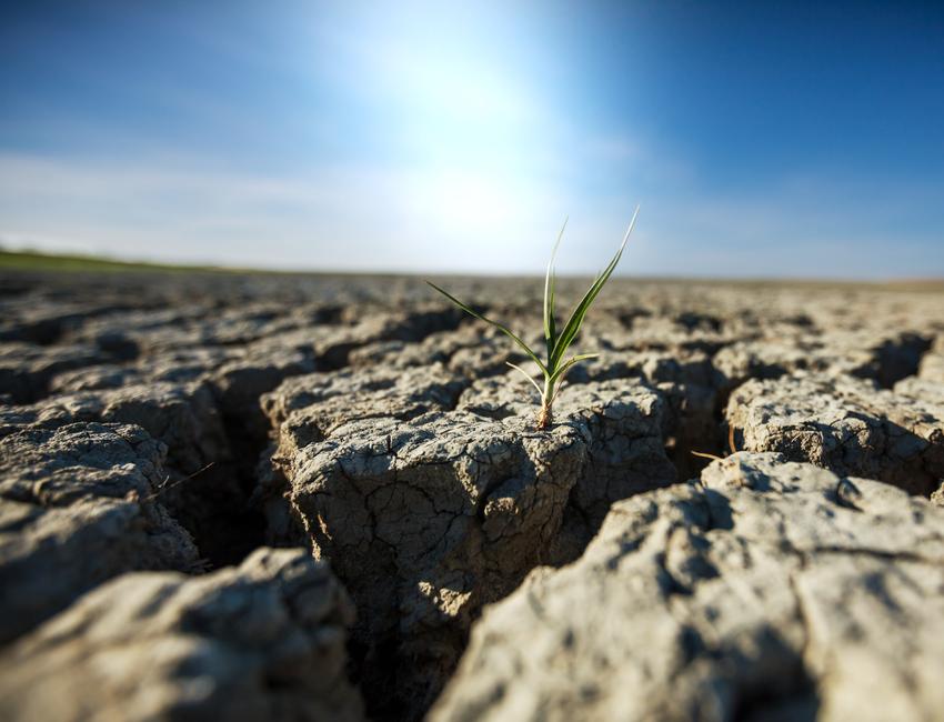 Сельхозпредприятия Хакасии получили 6 миллионов рублей за засуху