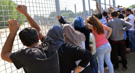 Венгерский референдум о мигрантах потерпел неудачу