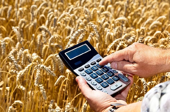 Больше 13 млн рублей дали фермерам и сельхозпредприятиям Хакасии