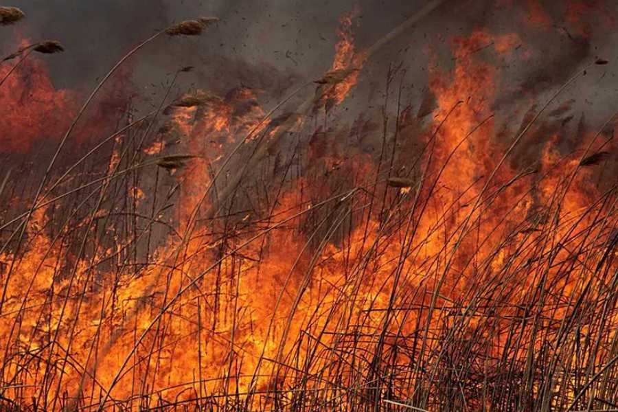 Жители Хакасии продолжают устраивать пожары: 15 возгораний за сутки