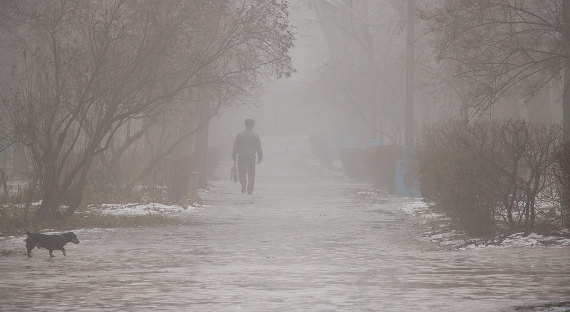 Погода в Хакасии 21 февраля: Столицу накроет зимний туман