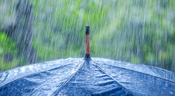 Погода в Хакасии 31 мая: Дожди остужают республику