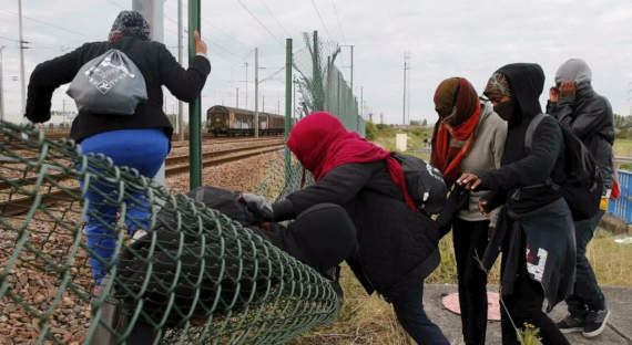 Польша обвинила Беларусь в усугублении миграционного кризиса в ЕС