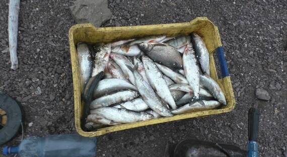 Абаканская транспортная полиция поймала браконьера-рыбака