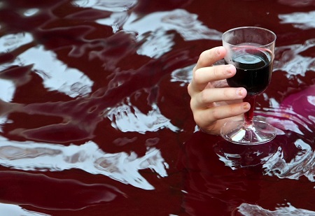 Во Франции злоумышленники вылили на землю 200 тысяч литров вина