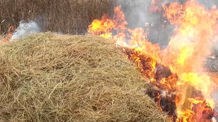 В Хакасии дети сожгли 18 тонн сена