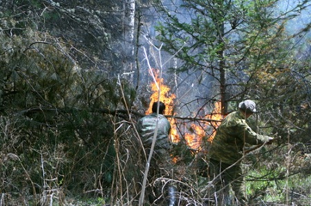 В Хакасии лесники оперативно борются с лесными пожарами