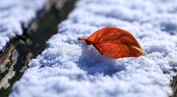 Погода в Хакасии 1 декабря: Зима начинается постепенно