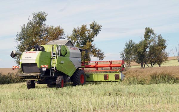 Погода способствует уборочной кампании в Хакасии
